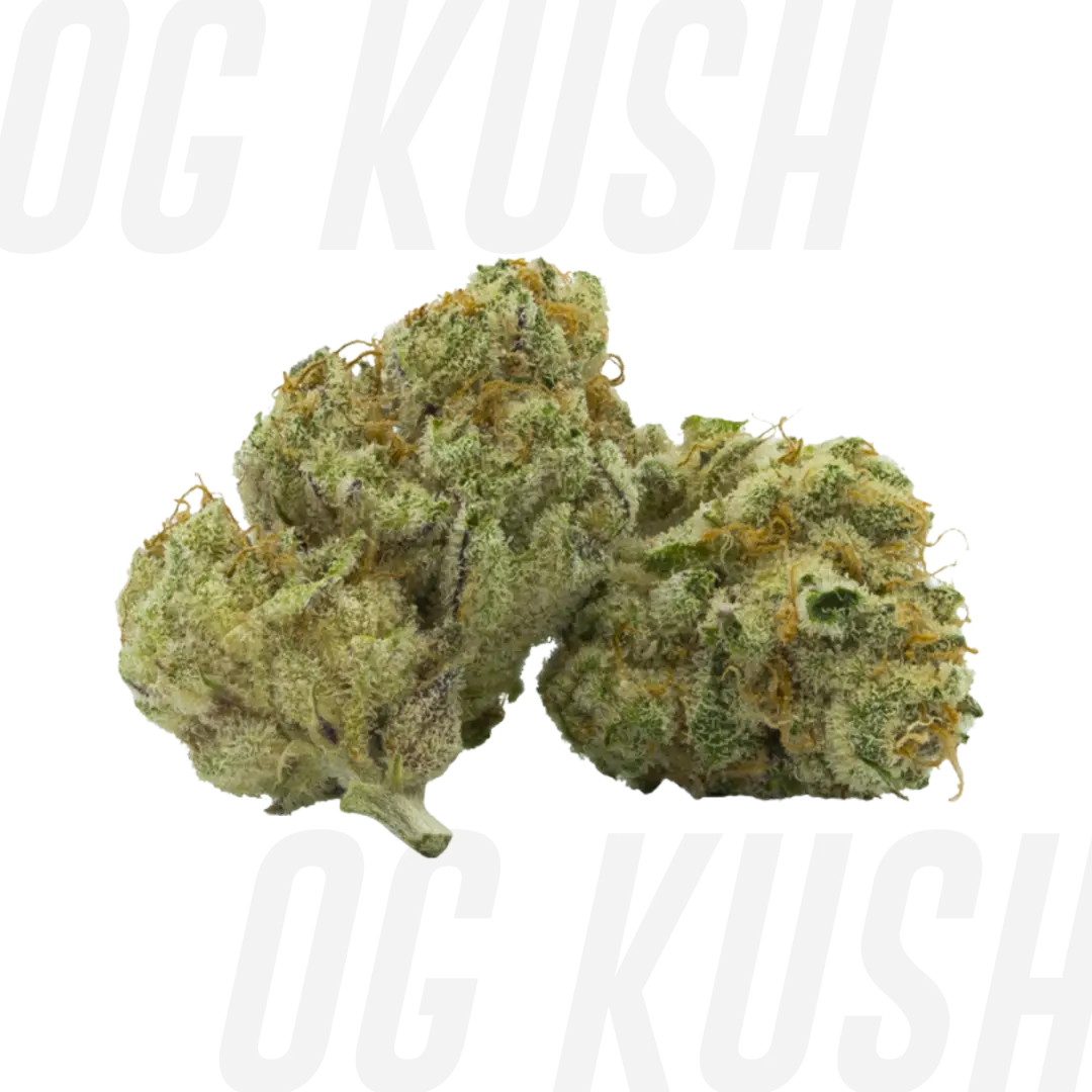 Genética OG KUSH