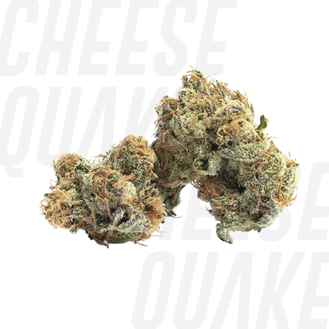 Genética CHEESE QUAKE